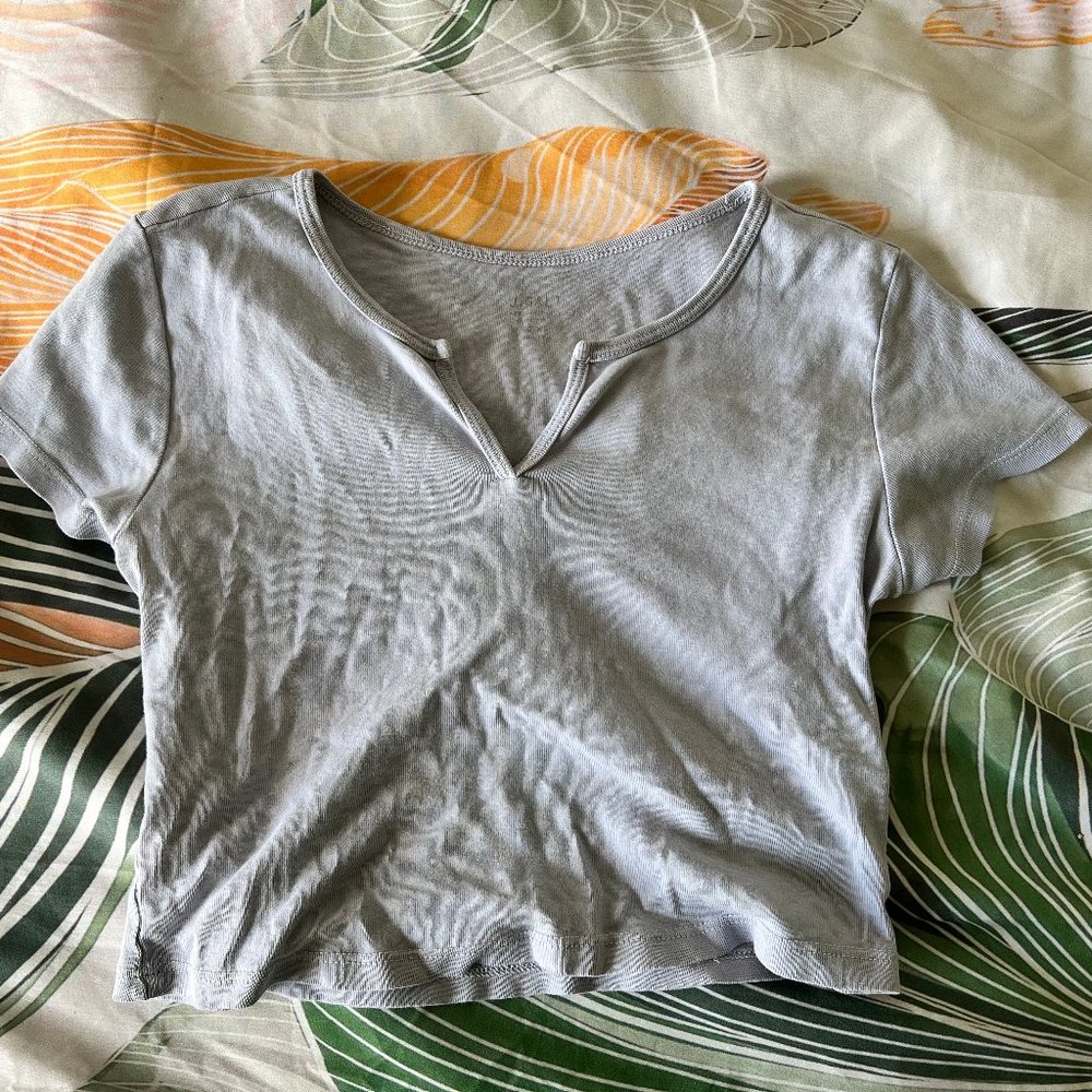 Brandy Melville/John Galt Blue Notch Front Richie Cropped T-shirt